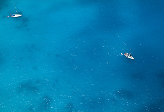 呼伦贝尔牛奶是和市面上卖的都一样吗？